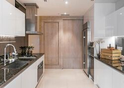 The Ritz-Carlton  (D9), Condominium #499668221